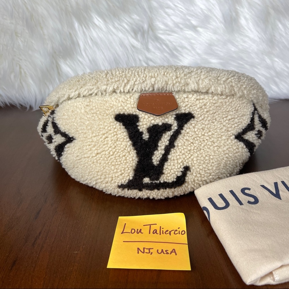 Louis Vuitton Teddy Mono Bumbag - Picture 1 of 13